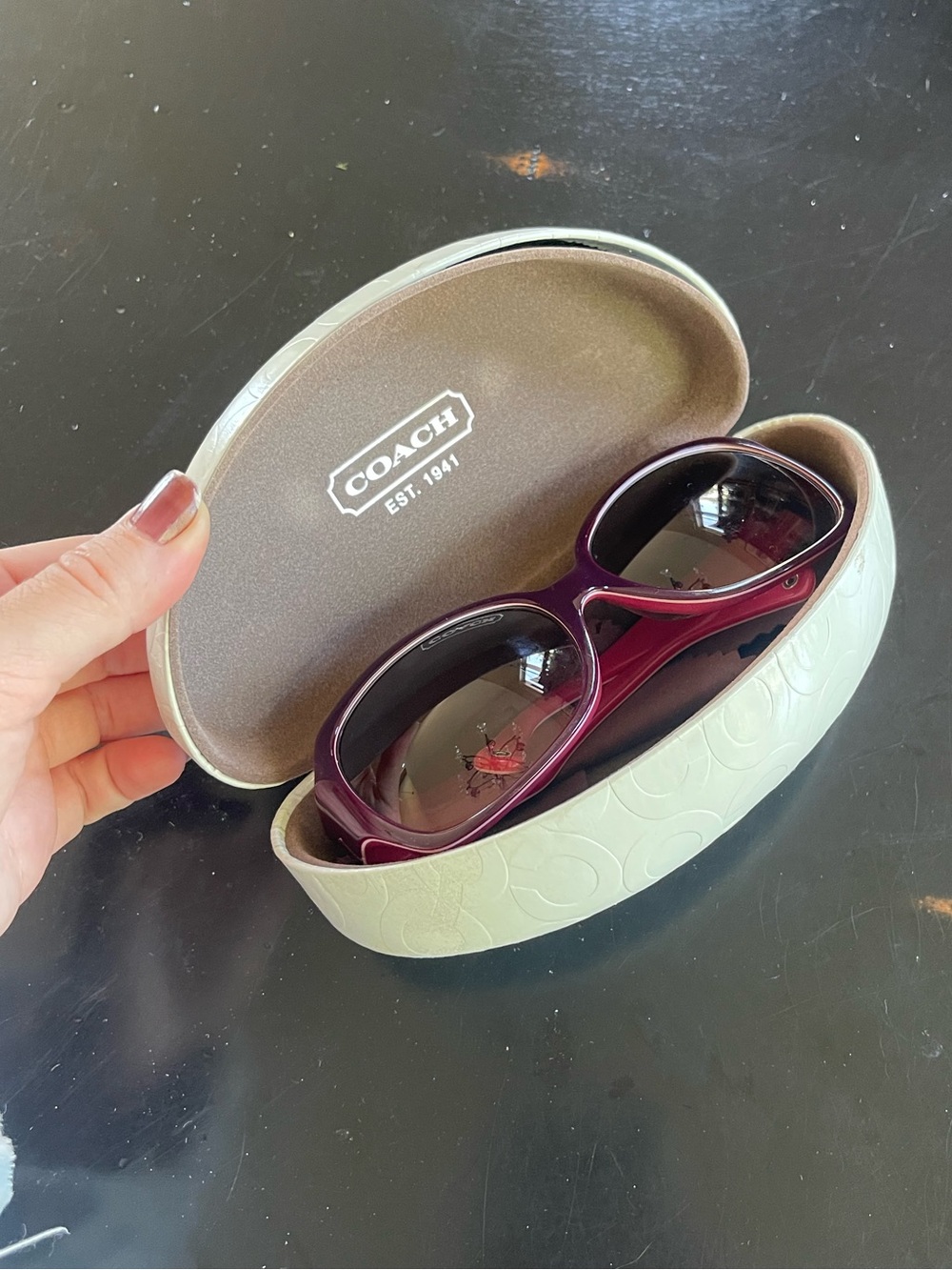 Coach Tasha Sunglasses